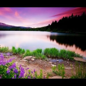 Meet your Posher, Lucy